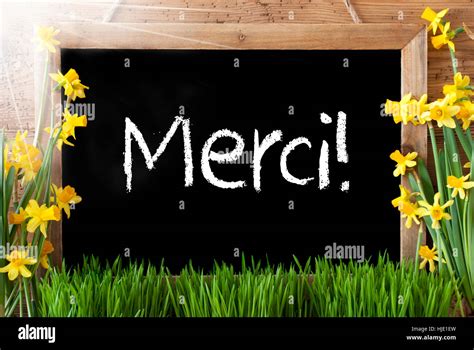 Sunny Spring Narcissus Chalkboard Merci Means Thank You Stock Photo