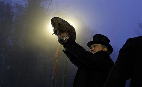 Giant Groundhog Seen Walking Around Michigan On Groundhog's Day