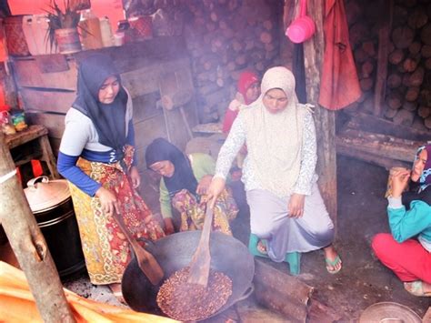 Budidaya Kopi Di Jangkat Perubahan Dan Peluang Usaha Majalah