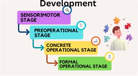 Piagets Stages Of Development Sensorimotor