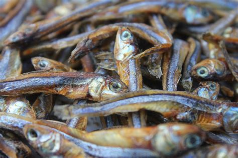 Dried Fish Bolinao Food From The Philippines