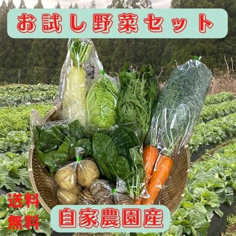 お試し有機野菜4〜6品セット 送料無料 有機栽培 無農薬 店内全品対象