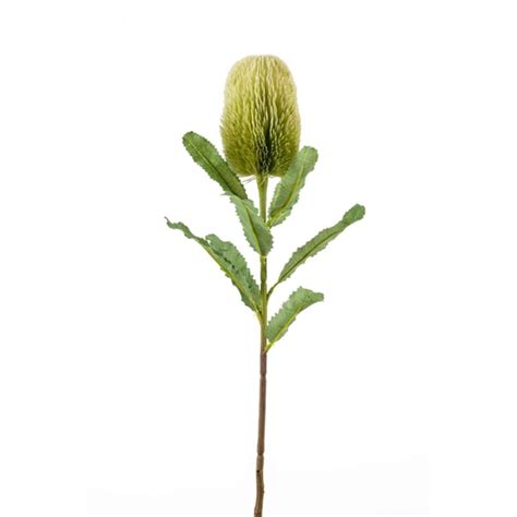 Emerald Dekorativni Cvet Banksia 65cm Zeleni Emerald Okov Beograd