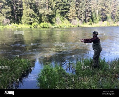 Metolius River Oregon Fly Fishing Trip With Fisherman Casting Stock