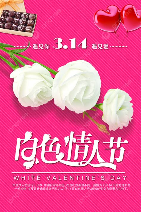 White Valentine Rose Poster Template Download On Pngtree