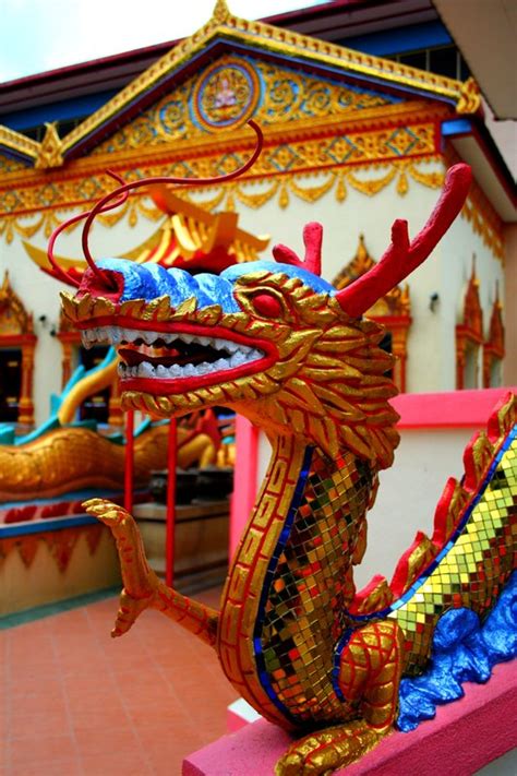 Dragon Natuna Indonesia Travellerspoint Travel Photography