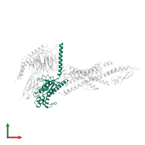 Pdb Lmk Gallery Protein Data Bank In Europe Pdbe Embl Ebi