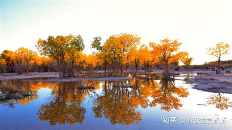 成都自驾一年仅有一次旅行的额济纳旗胡杨林行程怎么安排？ 知乎