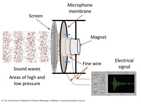 Inside Of Dynamic Mic