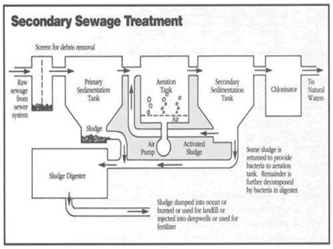 Modern Sewage Treatmentppt Free Download