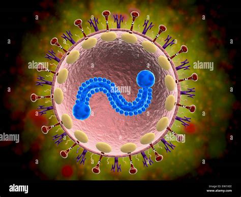 Data From Respiratory Syncytial Virus Replicon Highthroughput Screening