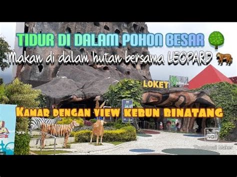 STAYCATION DI HOTEL POHON INN BATU MALANG JAWA TIMUR YouTube