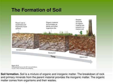 Chapter 8 Earth Systems Friedland And Relyea Environmental Science For