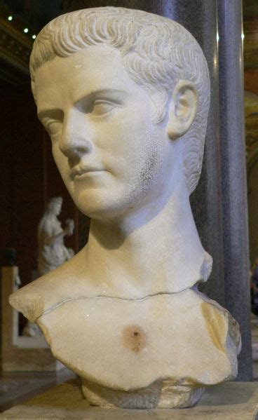 Caligula Roman Emperors Busts Statues Information Coins Maps Images