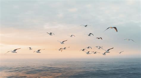 Una Bandada De Gaviotas Volando Sobre El Oc Ano Foto Premium