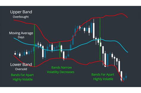 Indicadores De MetaTrader 5 Para Trading Exitoso B2BROKER