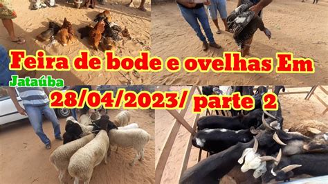 Feira De Caprinos E Ovinos Em Jata Ba Pb Parte Youtube