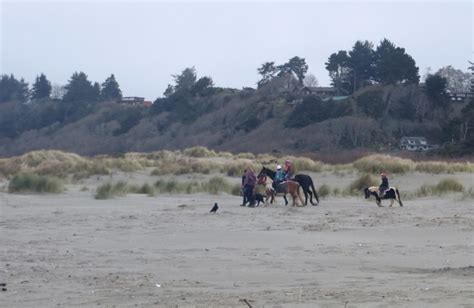 Clam Beach County Park in McKinleyville, CA - California Beaches