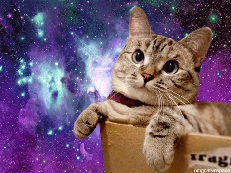 Omg Cats In Space