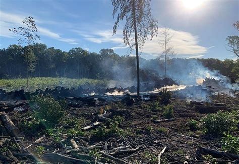 Fire At Allegan State Game Area Was Likely Arson 5000 Reward Offered