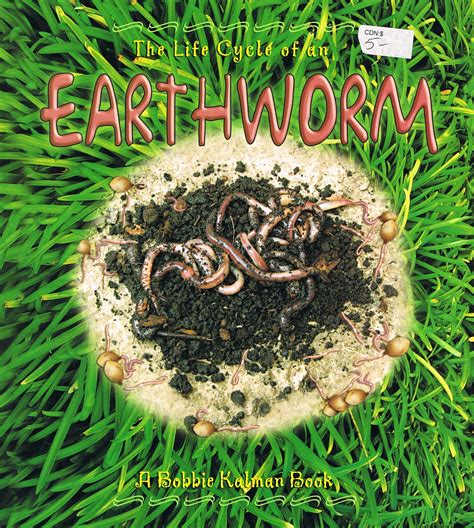 Earth Worm-Life Cycle – Whetung Ojibwa Centre