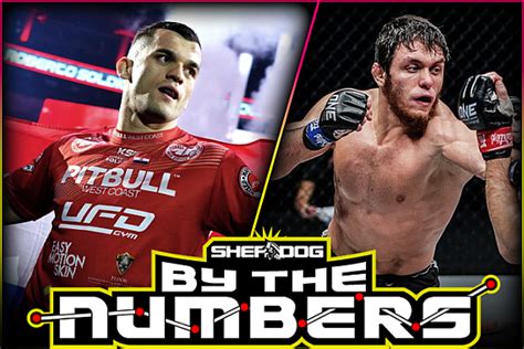 By The Numbers Murad Ramazanov Vs Roberto Soldic