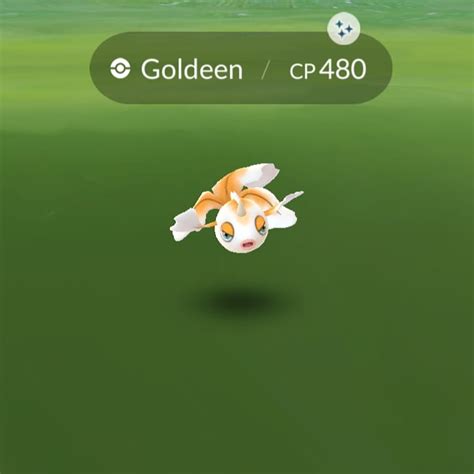 Shiny goldeen from research : r/TheSilphRoad