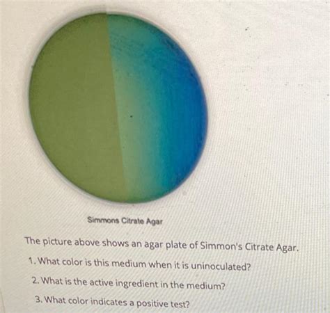 Solved Simmons Citrate Agar The Picture Above Shows An Agar Chegg