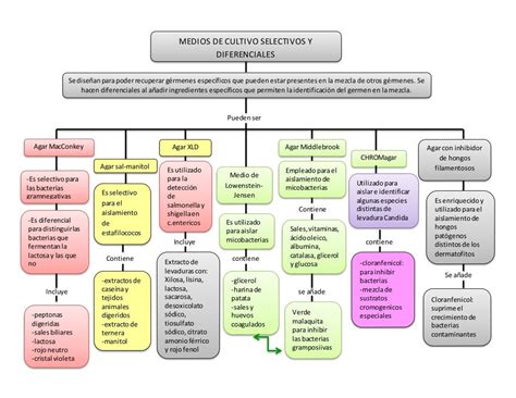 Medios De Cultivo Mapas Conceptuales