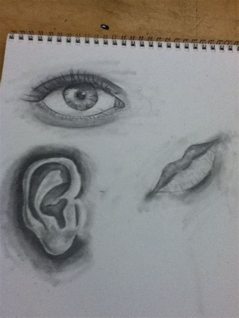 Practice drawings at school. Doing portrait drawing. My original ...