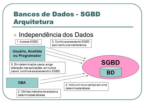 Banco De Dados Bd E Sistema De Gerenciamento De Banco De Dados Sgbd