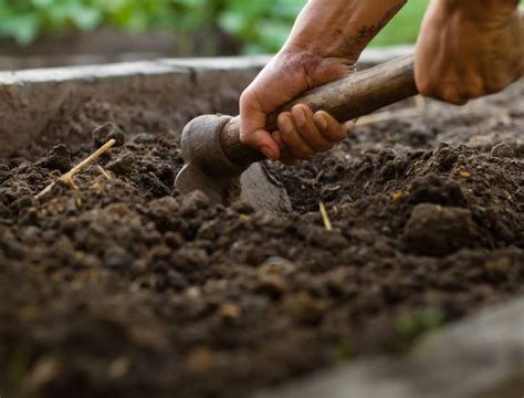 How To Correct Compacted Soil