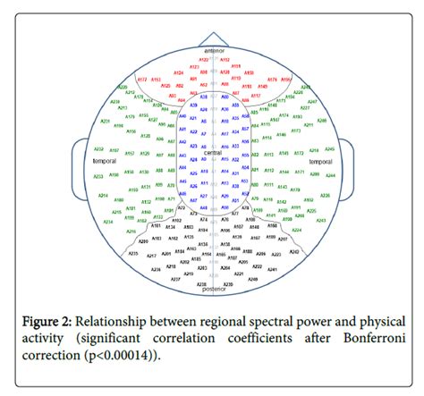 Cognitive Psychology Relationship Between Regional Spectral Power