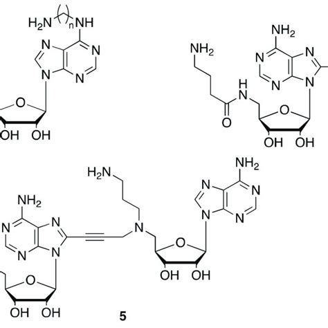 Chemical Structures Of Nicotinamide Adenine Dinucleotide Nad And Nad Download Scientific