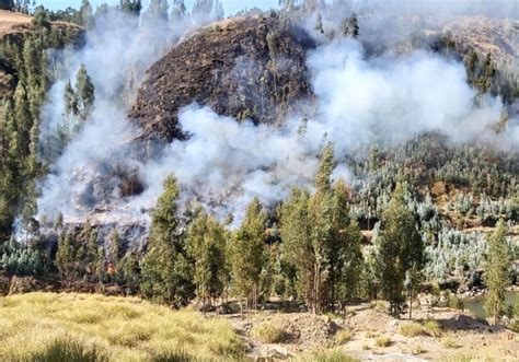 Áncash en alerta por 8 incendios forestales y 2 urbanos reportados en