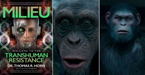 | DAWN OF THE PLANET OF THE APES? Scientists Genetically Modify Monkey ...