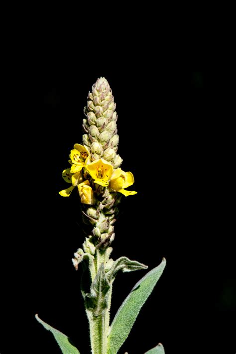 Red Cedar Preserve And Recreation Area Philip Schwarz Photography Blog