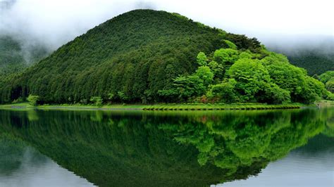 Lake, landscape, green, trees, fog, nature, photography, green mountain ...