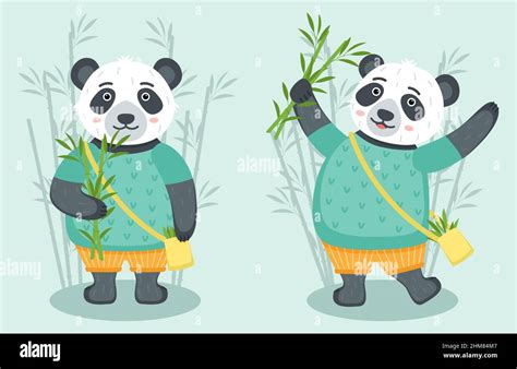 Set Of Cute Pandas With Bamboo Vector Illustration Stock Vector Image