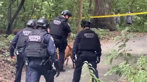 Central Park Crime Nypd Searching For Suspect In Manhattan Sex Assault In Nyc Abc7 New York