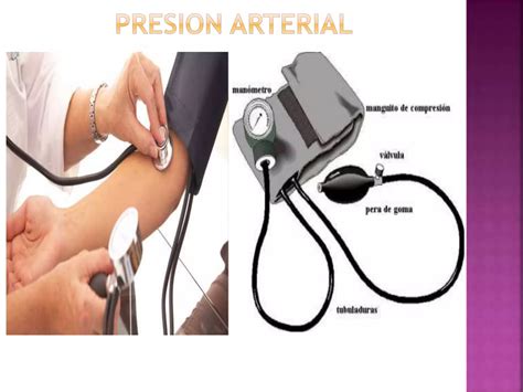 Clase Electrocardiograma Y Grupos Sanguineos Ppt