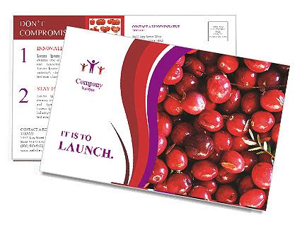 Background Of Fresh Red Cranberries With Leaves A Vibrant And Tasty