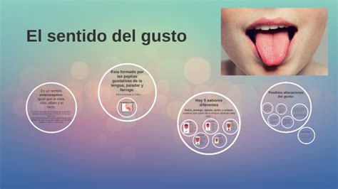 Sentido del gusto by alejandra sanchez on Prezi