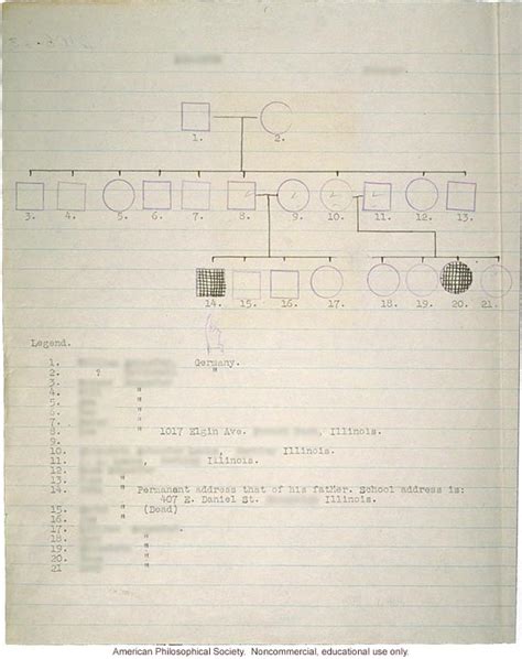 Pedigree And Photo Of Polydactyly By Morris Steggerda CSHL DNA