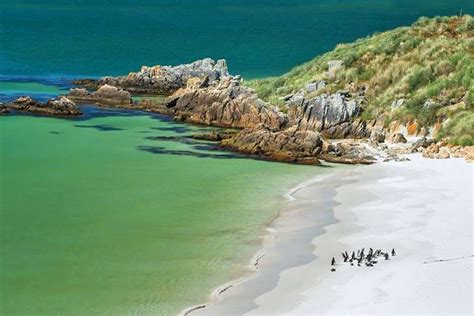 Falkland Islands In Pictures Beautiful Places To Photograph Gypsy Cove