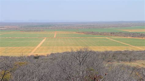 Brazil: Sugarcane - Grower Success Stories | Netafim