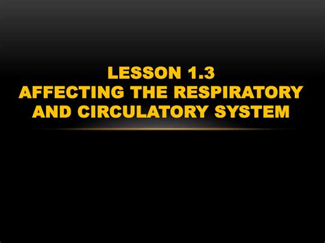 L The Respiratory System Pptx