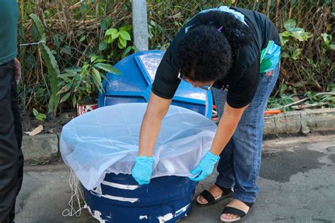 FVS RCP Orienta Como Vistoriar Casa Para Evitar A Dengue Confira Dicas