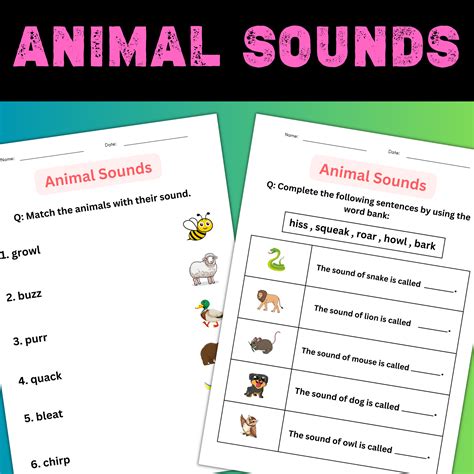 Printable Mmatching Animal Groups Worksheet For Grade 1 2 3 Made By