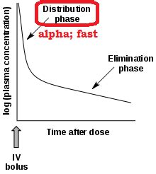 Lecture 5 Pharmacokinetics 1 Flashcards Quizlet
